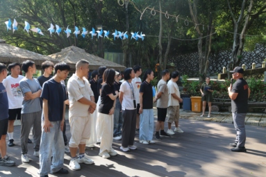 鱼泡网