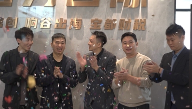 鱼泡网
