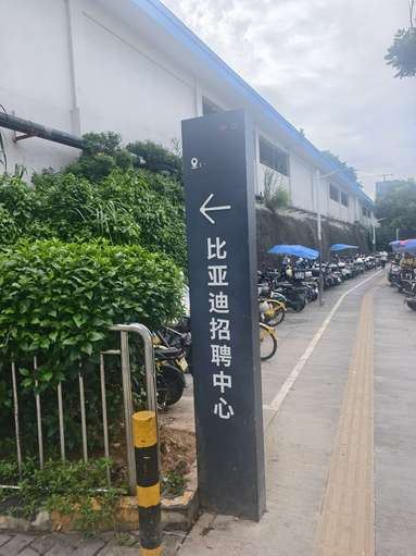 鱼泡网