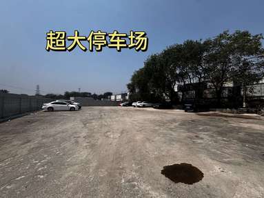 魚泡網(wǎng)