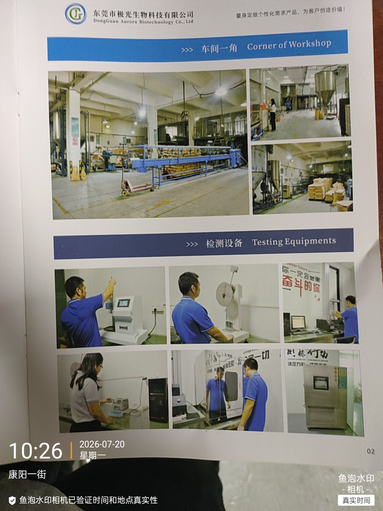 鱼泡网