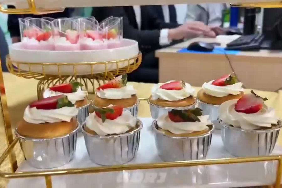 鱼泡网