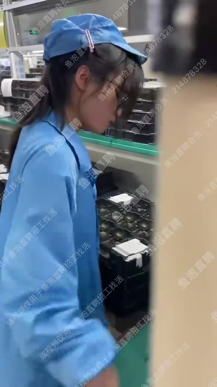 鱼泡网