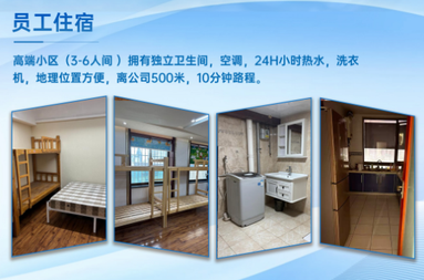 鱼泡网