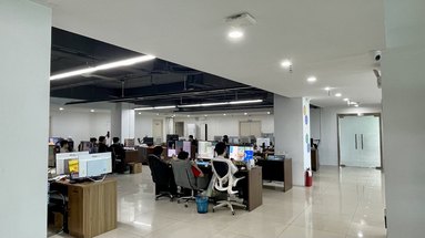 鱼泡网