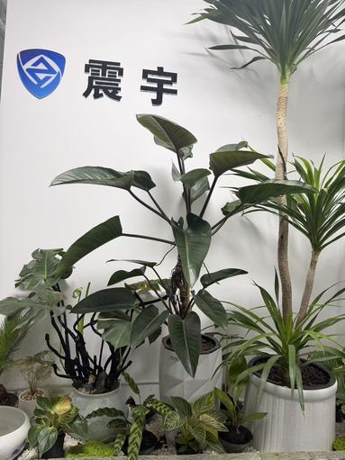 鱼泡网