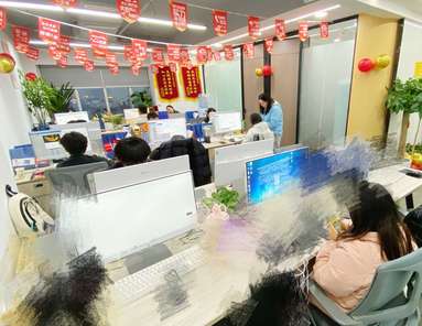 鱼泡网
