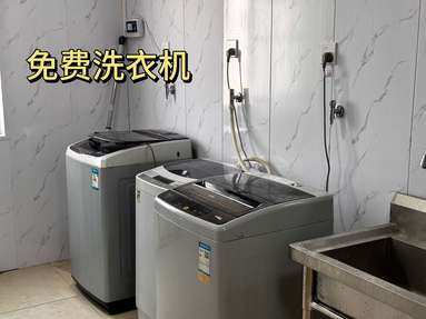 魚泡網(wǎng)