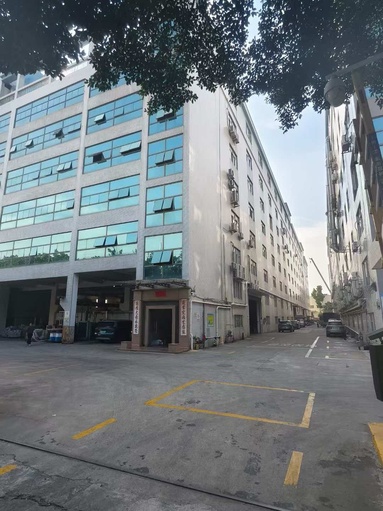 鱼泡网