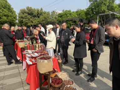 鱼泡网