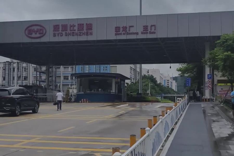 鱼泡网