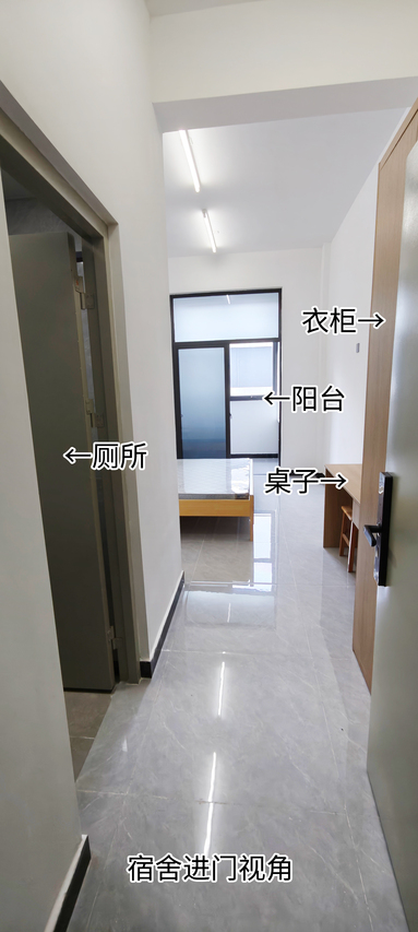 鱼泡网