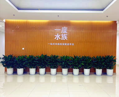 鱼泡网