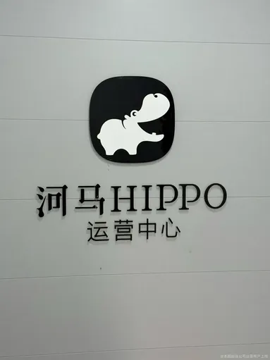鱼泡网