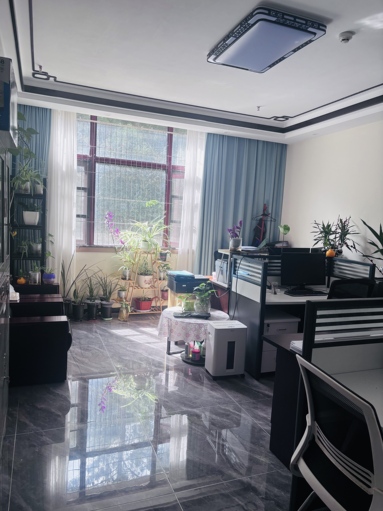 鱼泡网