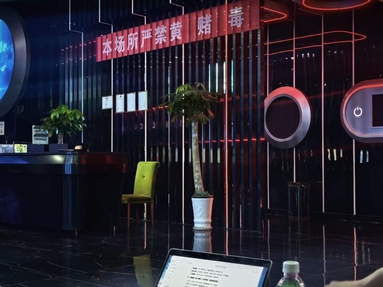 鱼泡网
