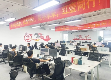 鱼泡网