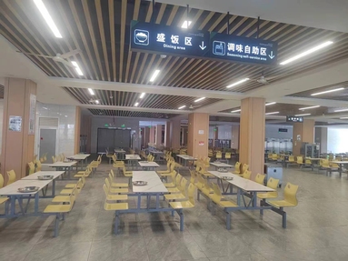 魚泡網