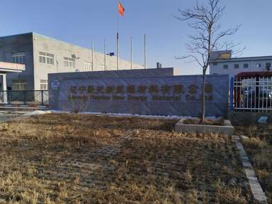 鱼泡网