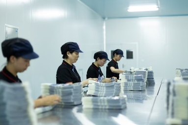 魚泡網