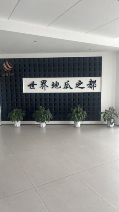 魚泡網(wǎng)