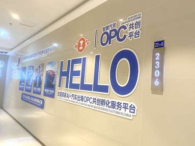 鱼泡网