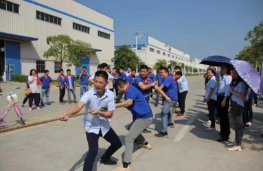 鱼泡网