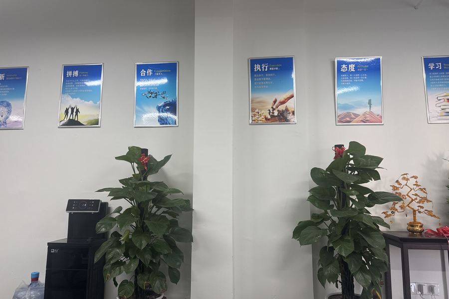 鱼泡网