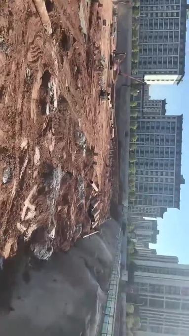 鱼泡网