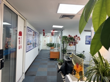 魚泡網(wǎng)