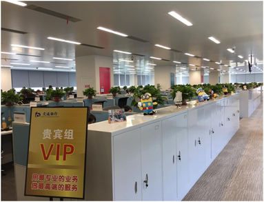 鱼泡网