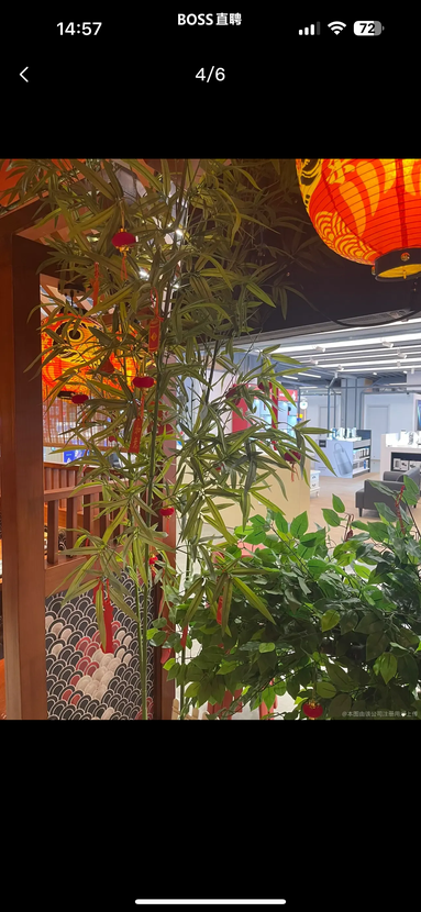 鱼泡网