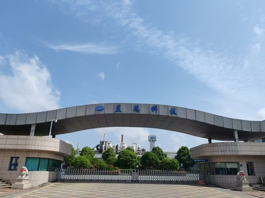 鱼泡网