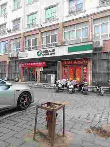 鱼泡网
