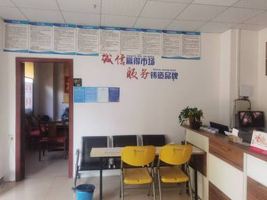 鱼泡网