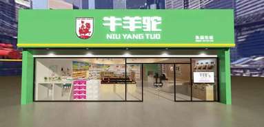 鱼泡网