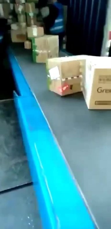 魚泡網
