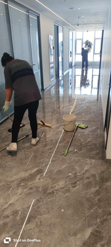 鱼泡网