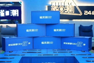魚泡網