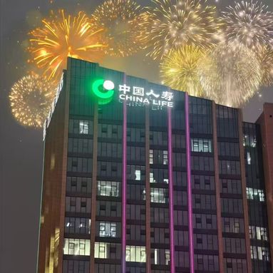 鱼泡网