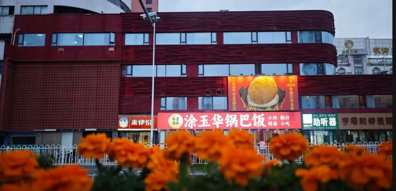 鱼泡网