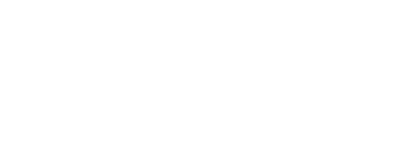 魚泡網(wǎng)
