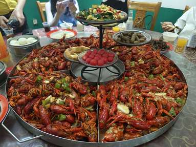 魚泡網(wǎng)