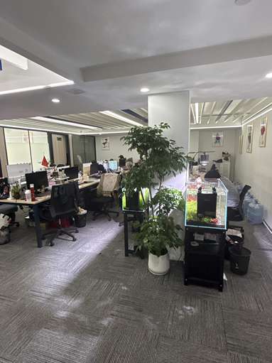 鱼泡网