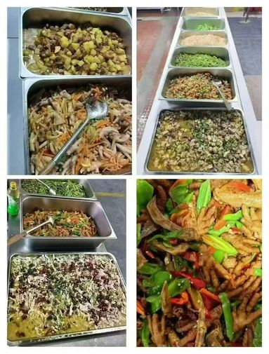 鱼泡网