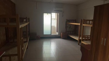 鱼泡网
