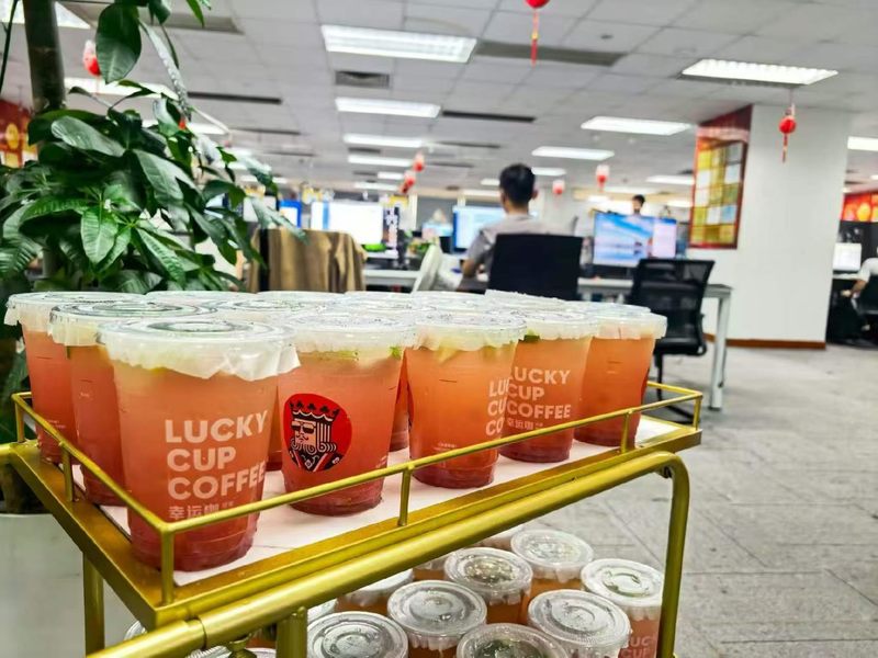 鱼泡网