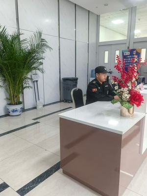 鱼泡网