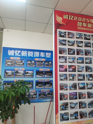 鱼泡网