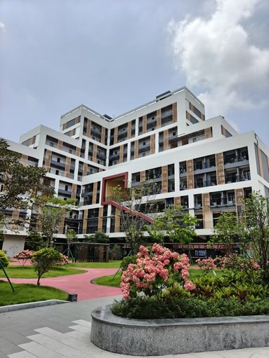 鱼泡网